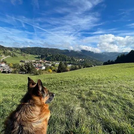 Rech-hof Sayonara Folgaria