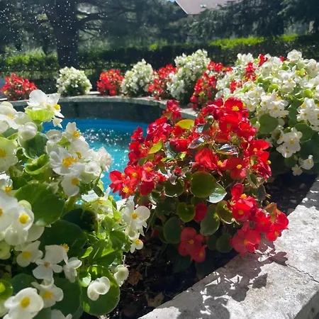 Rech-hof Sayonara Hotel Folgaria